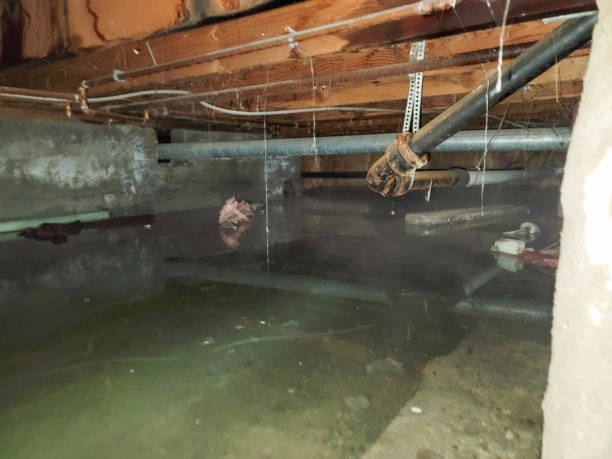 Best 24/7 water damage repair  in Hammonton, NJ