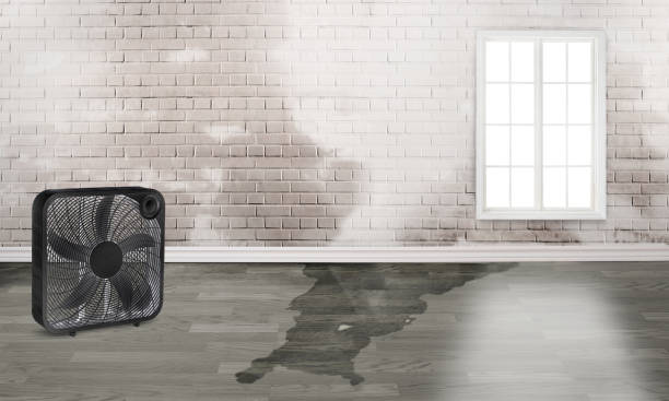 Best Commercial water damage restoration  in Hammonton, NJ