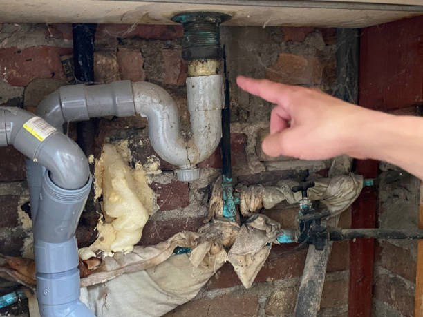 Best Water damage restoration company  in Hammonton, NJ